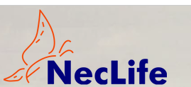 Nectar Lifesciences Ltd